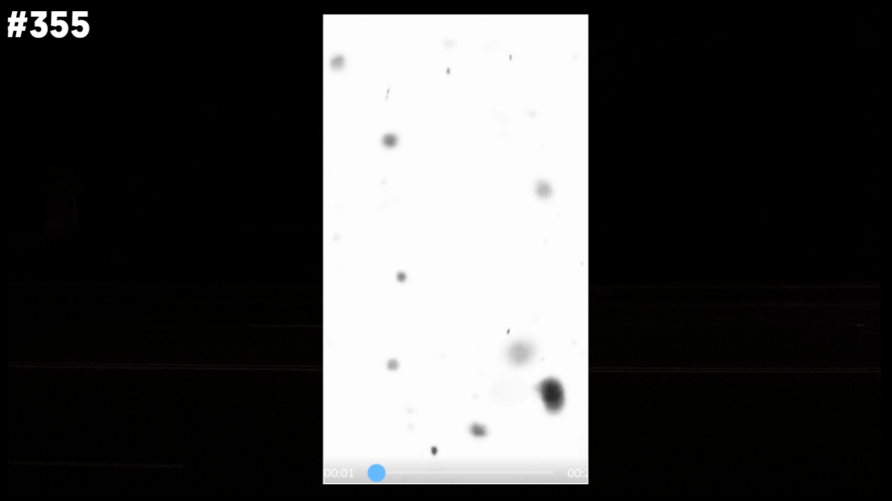 Black Dust Particles Video,best video status download