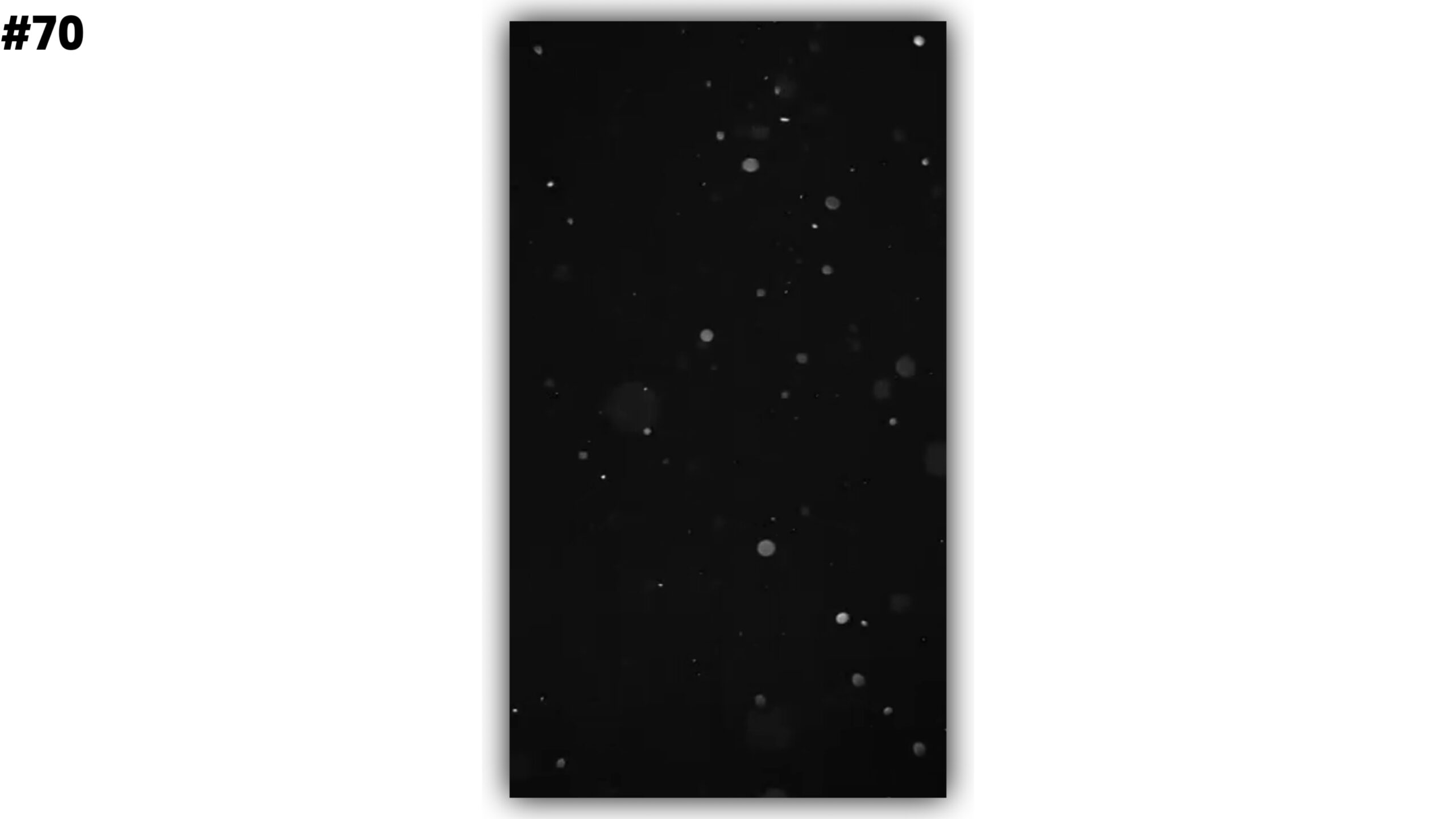 Alight Motion Black Screen Effects Template Download Link Video